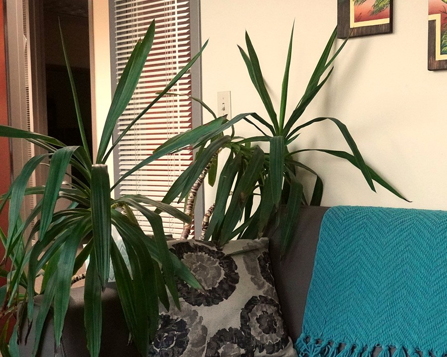 Comfortable waiting area at Sage Neuroscience Center